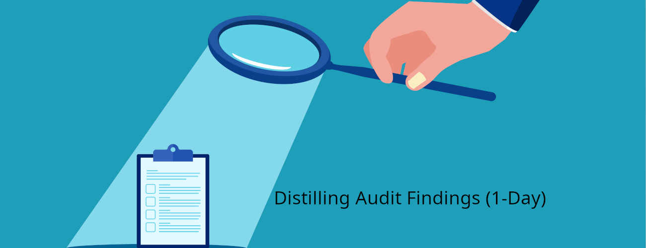 Distilling Audit Findings (1-Day)